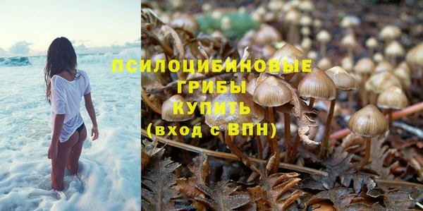 экстази Баксан