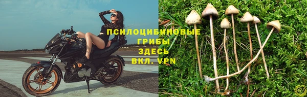трава Беломорск